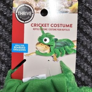 Reptile Cricket Costume